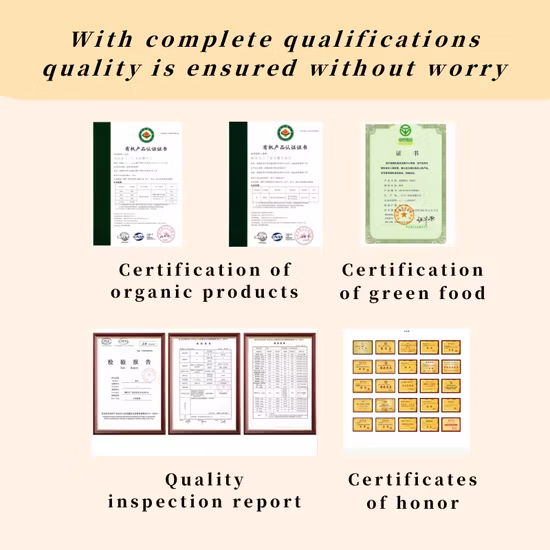 Bulk Wholesale EU Standard Organic Bag Packing Gunpowder Green Tea