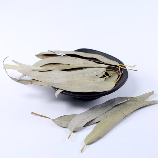 Novo chá verde nacional chinês pólvora chá 9575 folhas grandes para marrocos preço baixo