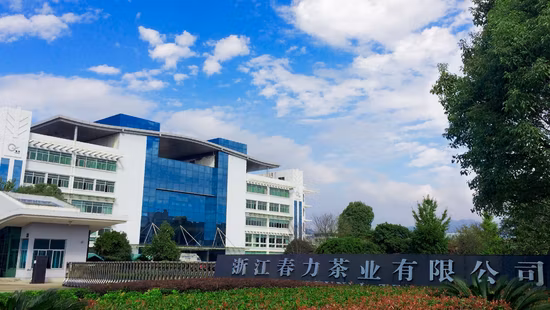 Chá Verde Chinês Saudável Pólvora Chá Verde