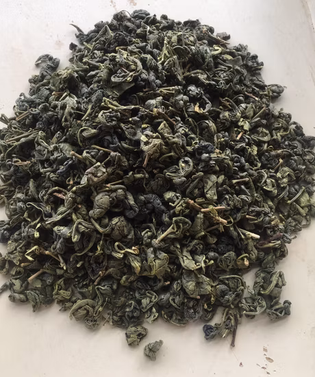Wholesale Chinese Tea Gunpowder Green Tea 3505, 9374, 9501