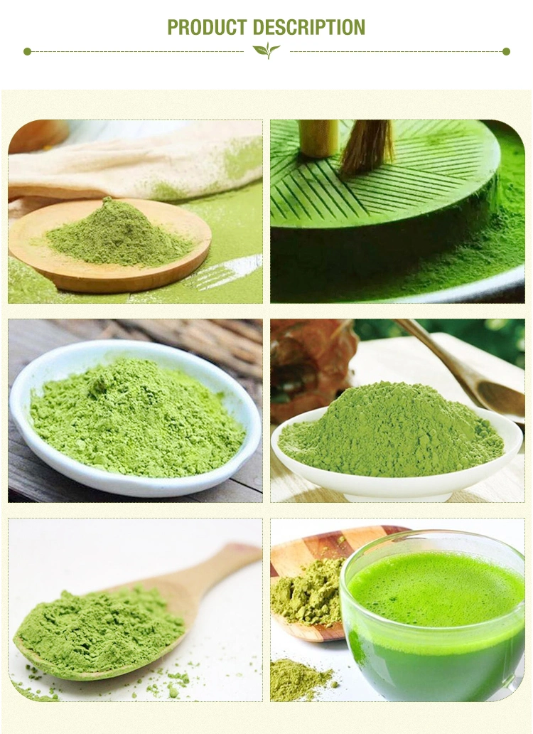 Wholesale Natural Fresh Premium Private Label Organic OEM Matcha Powder Green Tea Effect Matcha