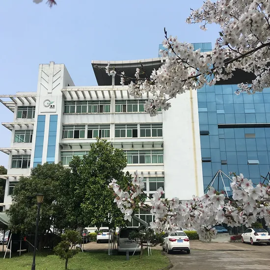 Chá chinês por atacado Premium Chá verde 708 Gros Grain Chunmee Preço de fábrica orgânico