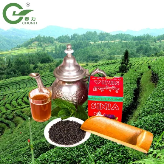 Chá Verde Chinês Premium 3505 Pólvora Chá Marrocos Chá Barato Pólvora